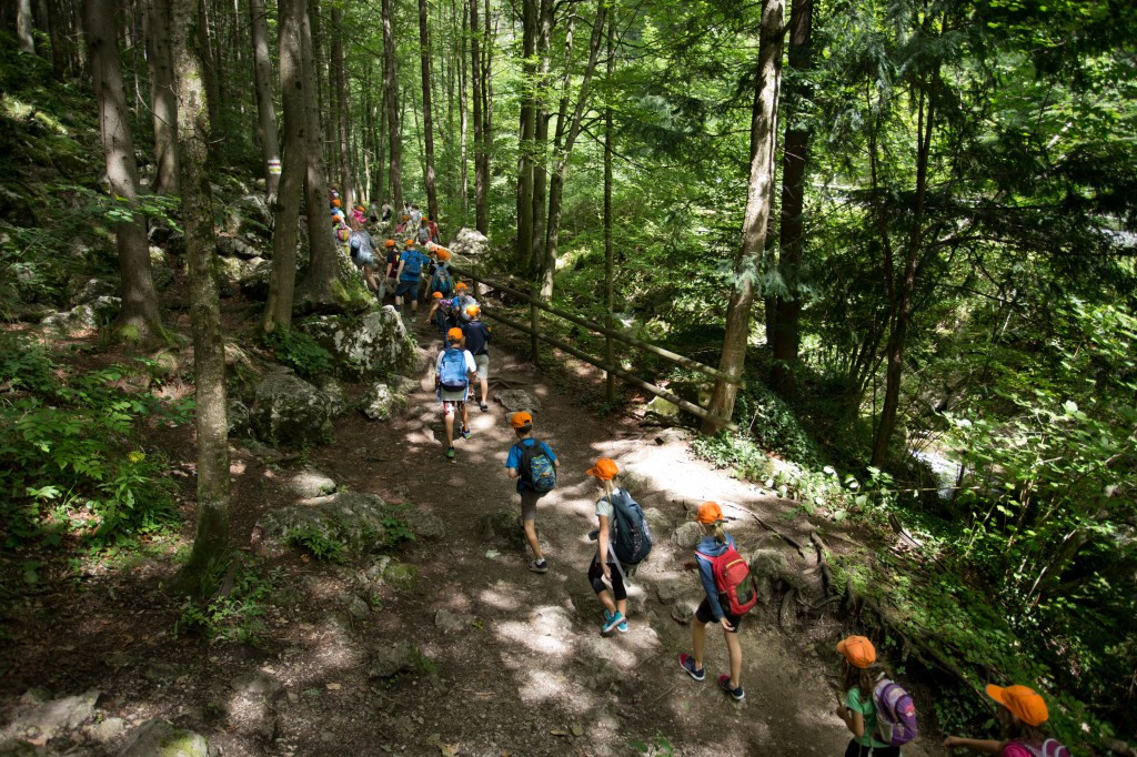 Kids hiking at camp.
