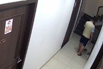 Vụ thanh niên đá văng chó cưng ở chung cư Hải Phòng: Chủ nhân chú chó lên tiếng