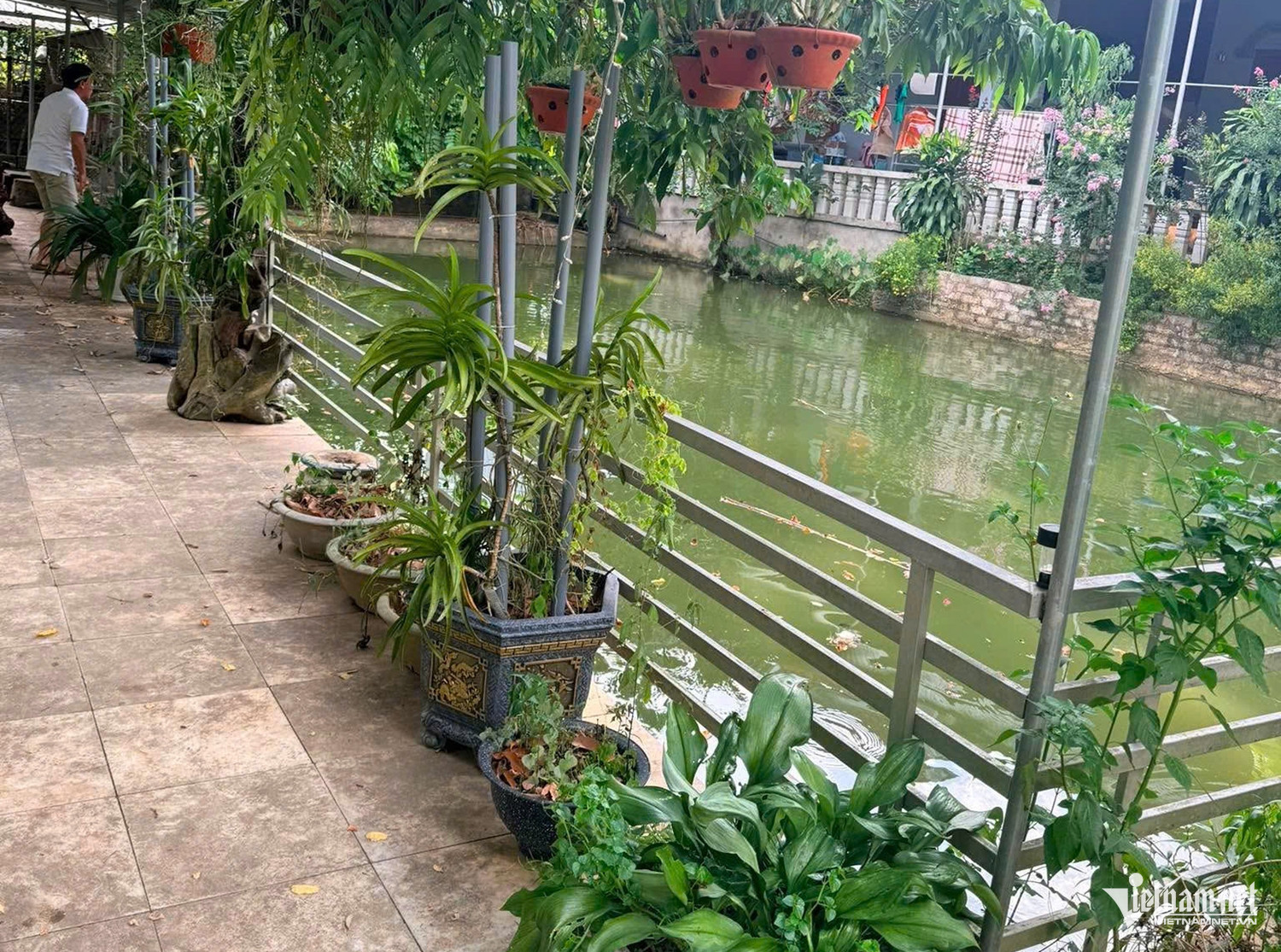 W-hiện trường đuối nước.jpg