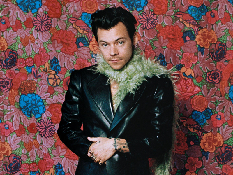 phong cach thoi trang phi gioi tinh cua harry styles 8
