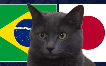 Mèo 
