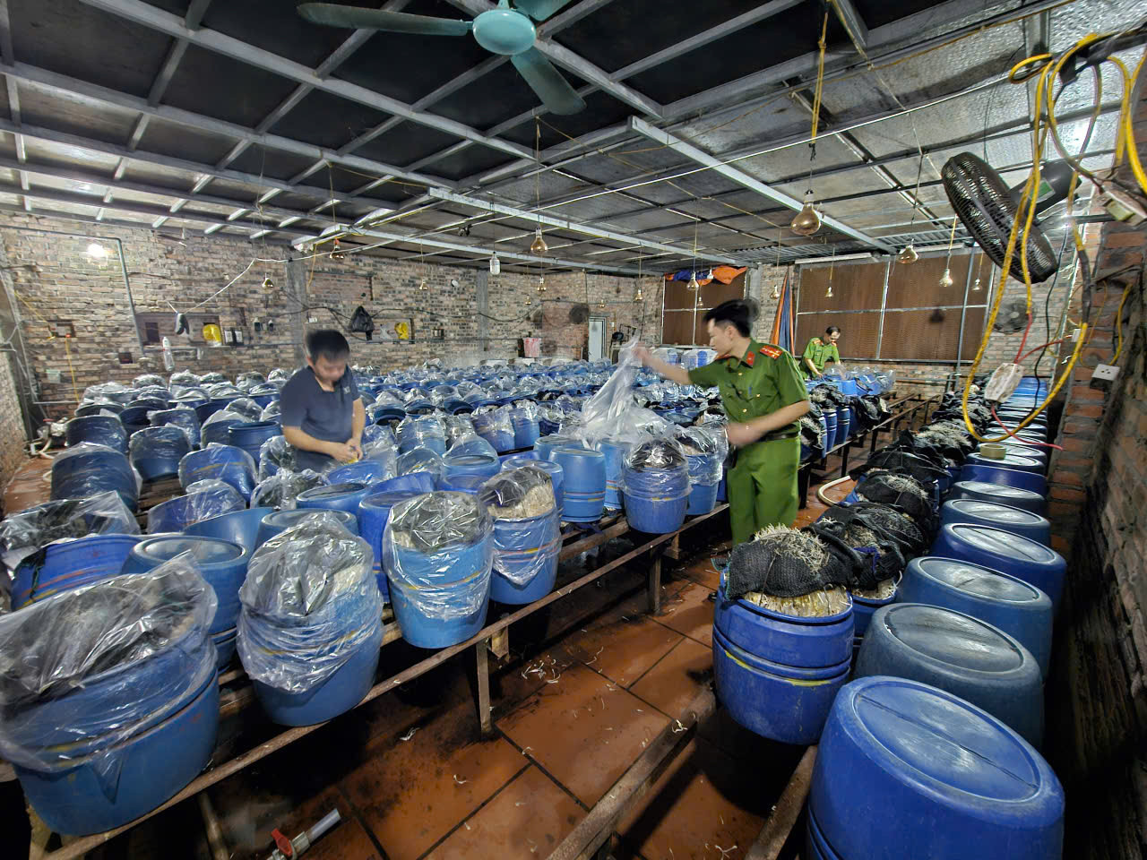 Lực lượng chức năng kiểm tra tại cơ sở sản xuất của Lê Thị Hoan. .jpg