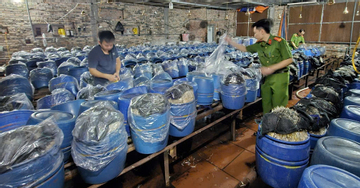 Ba chủ cơ sở 'tuồn' gần 1.000 tấn giá đỗ ngâm 'nước kẹo' ra thị trường