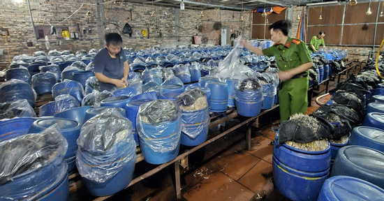 Ba chủ cơ sở 'tuồn' gần 1.000 tấn giá đỗ ngâm 'nước kẹo' ra thị trường
