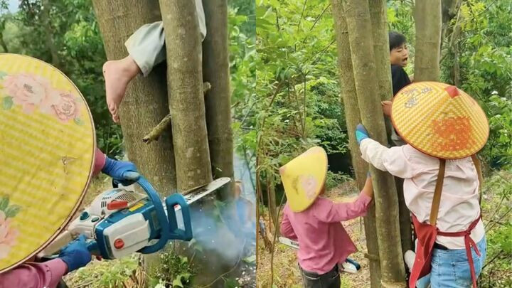 Dân mạng cảm thương cái cây khi đang yên đang lành bị em nhỏ