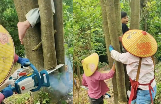 Xem giải cứu em bé mắc kẹt khi trèo cây, dân mạng than 'khối nghỉ hè quá mạnh'