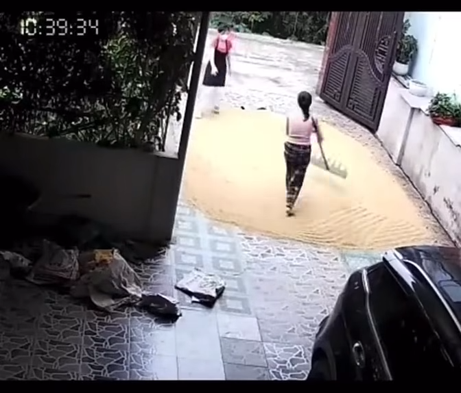 videoframe-14419-1780309656.png
