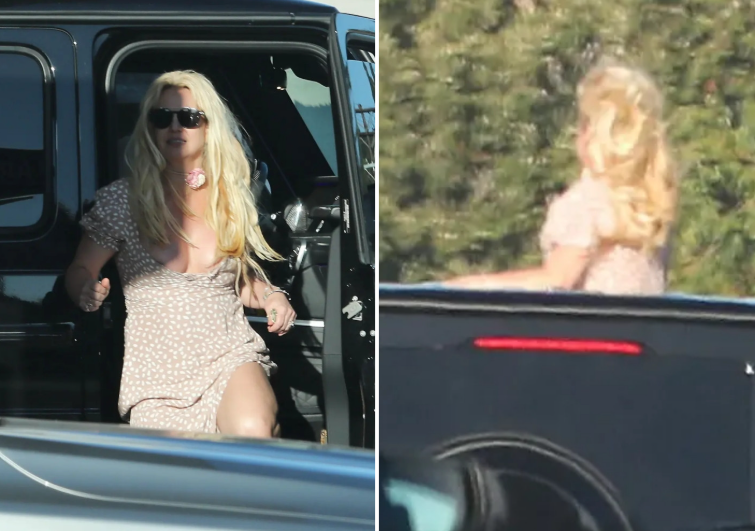 ‘Công chúa nhạc pop’ Britney Spears mất kiểm soát插图 ca si.png