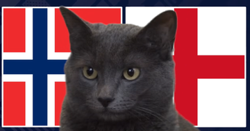Mèo 