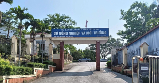 Cán bộ Sở Nông nghiệp và Môi trường Lào Cai tử vong tại cơ quan