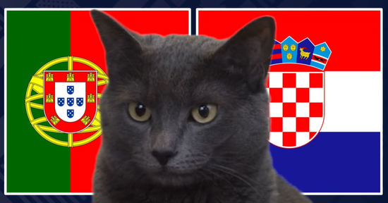 Mèo 'tiên tri' dự đoán sốc kết quả trận Bồ Đào Nha vs Croatia: Ronaldo tiếp tục 'nổ súng'?
