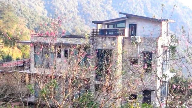 thuy-linh-2-1785112370.jpg