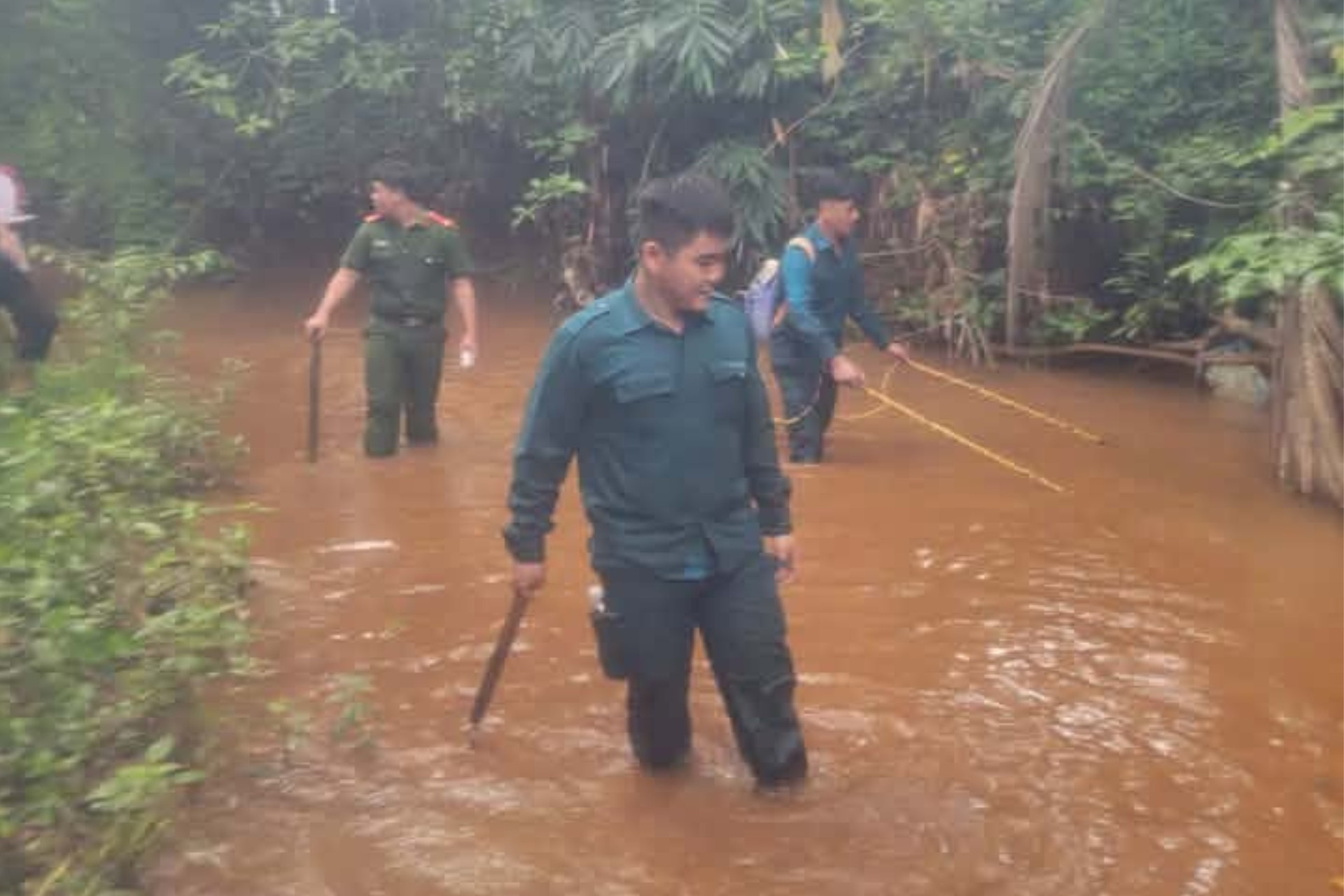 Nghi xuất hiện cá sấu, hàng trăm người tìm kiếm插图1 ca sau 1.jpg