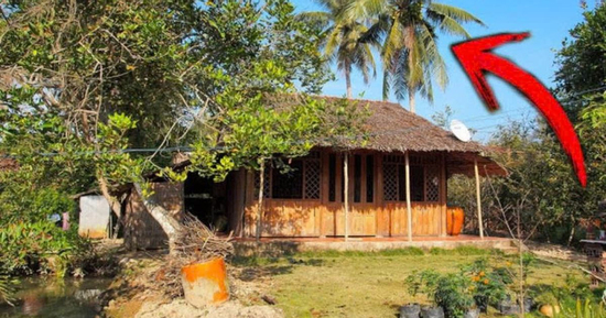 Quan niệm xưa về 5 loại cây cảnh không nên trồng trong nhà và ý nghĩa phía sau