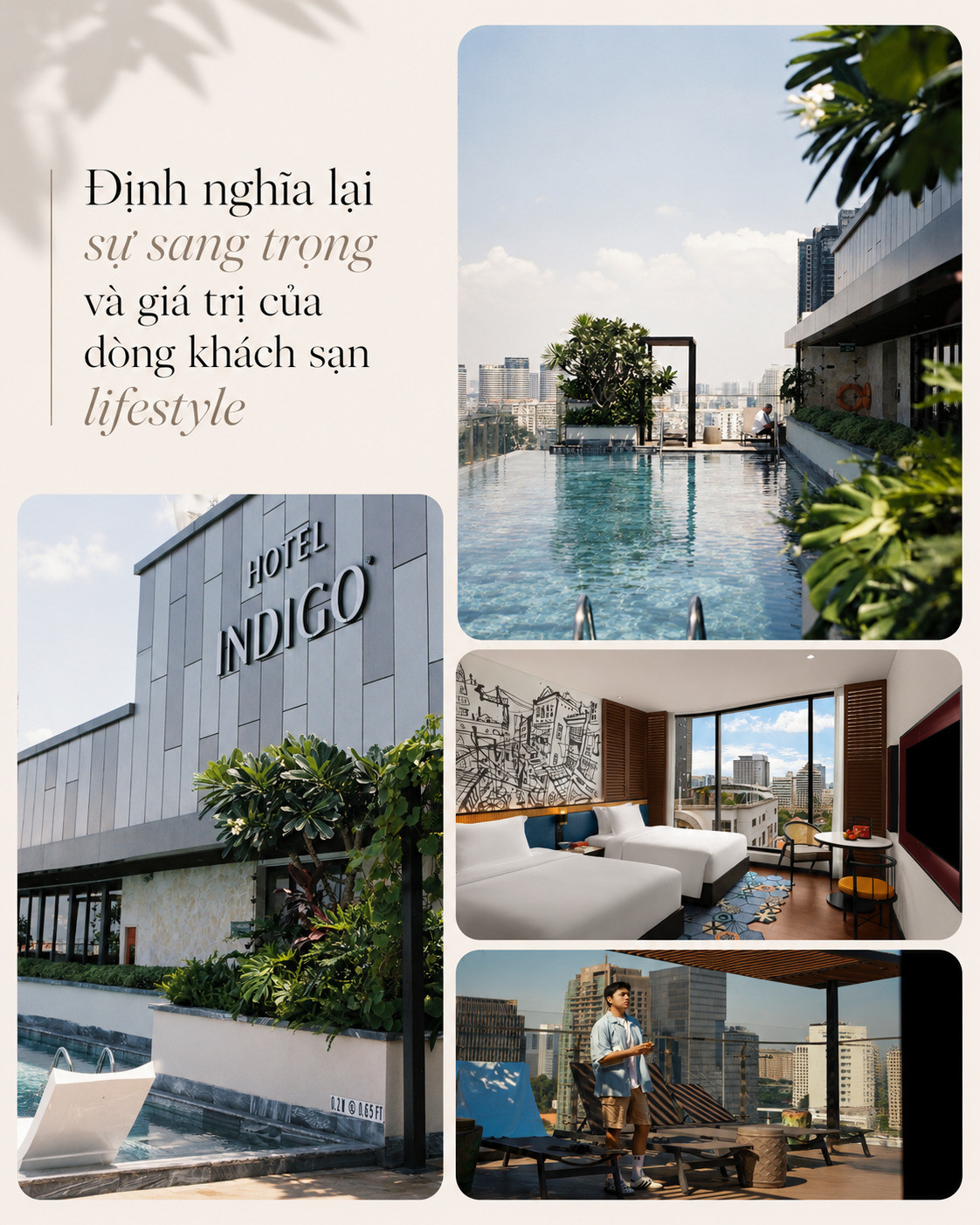 LaPhan4.jpg