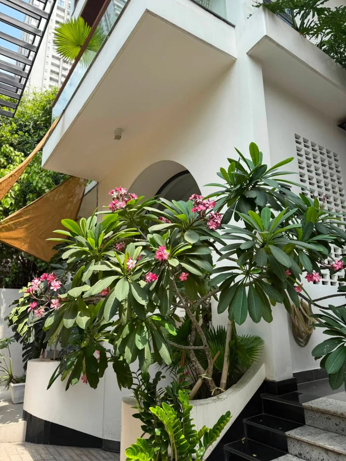 Thành quả đặc biệt của nữ diễn viên Vân Trang bên trong biệt thự rộng lớn插图1 Thành quả đặc biệt của nữ diễn viên Vân Trang bên trong biệt thự rộng lớn - Ảnh 2.