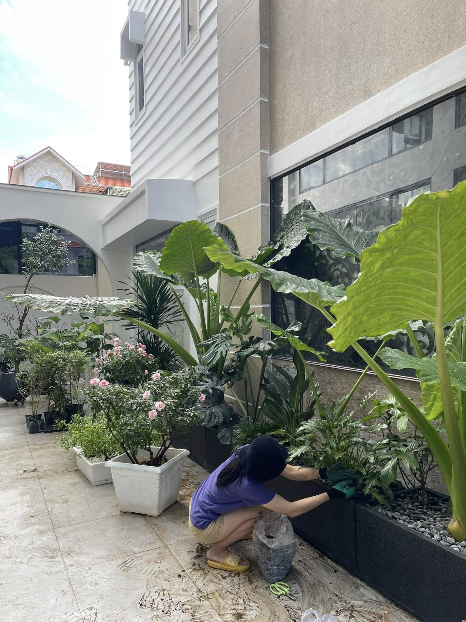 Thành quả đặc biệt của nữ diễn viên Vân Trang bên trong biệt thự rộng lớn插图3 Thành quả đặc biệt của nữ diễn viên Vân Trang bên trong biệt thự rộng lớn - Ảnh 6.