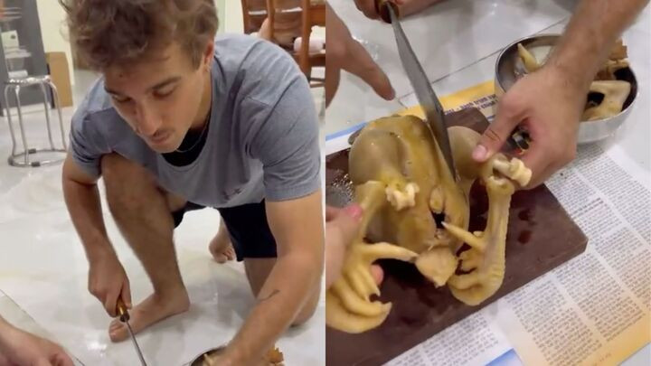 Dân mạng đùa rằng anh Tây chưa thể lấy vợ Việt Nam vì kỹ thuật chặt gà còn chưa chuẩn. (Ảnh chụp màn hình)
