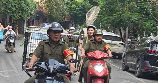 Tổ bắt chó thả rông ở Hà Nội liên tục đổi giờ tuần tra để xử lý vi phạm