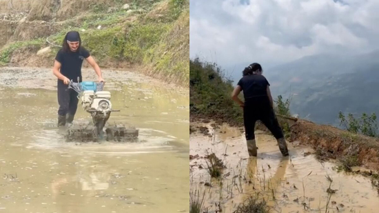 Xem khách Tây cuốc đất, đi bừa ở Tà Xùa, dân mạng đùa 'đi săn mây hay săn việc'