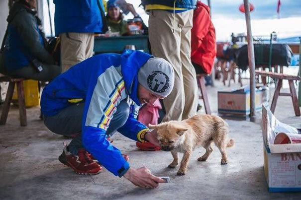 stray dog joins race gobi dion leonard china 6