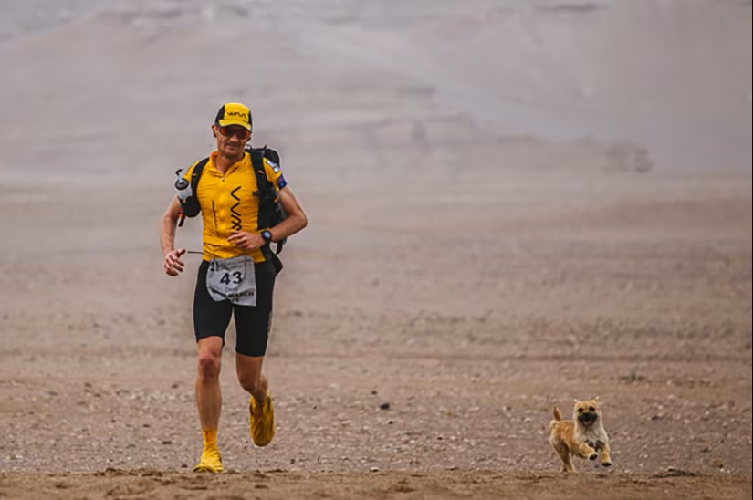 gobi 4