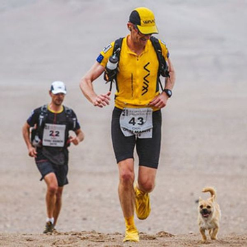 Chú chó hoang chạy 125 km xuyên sa mạc theo chân VĐV marathon rồi mất tích: Cái kết sau 9 năm gây bất ngờ