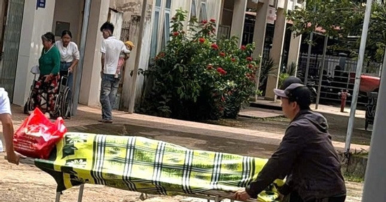 Người đàn ông tử vong khi trèo cây cắt sầu riêng thuê