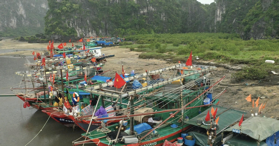 Ảnh hưởng bão số 4, Quảng Ninh tạm ngừng cấp phép tàu ra khơi