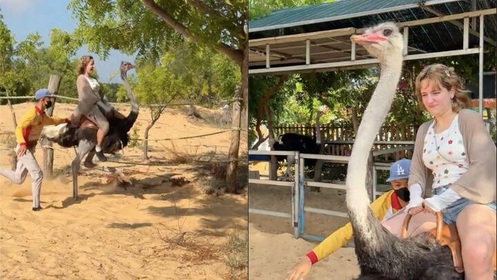 Nhiều dân mạng mong muốn được thử một lần để xem tốc độ “xé gió” là như nào. (Ảnh chụp màn hình)