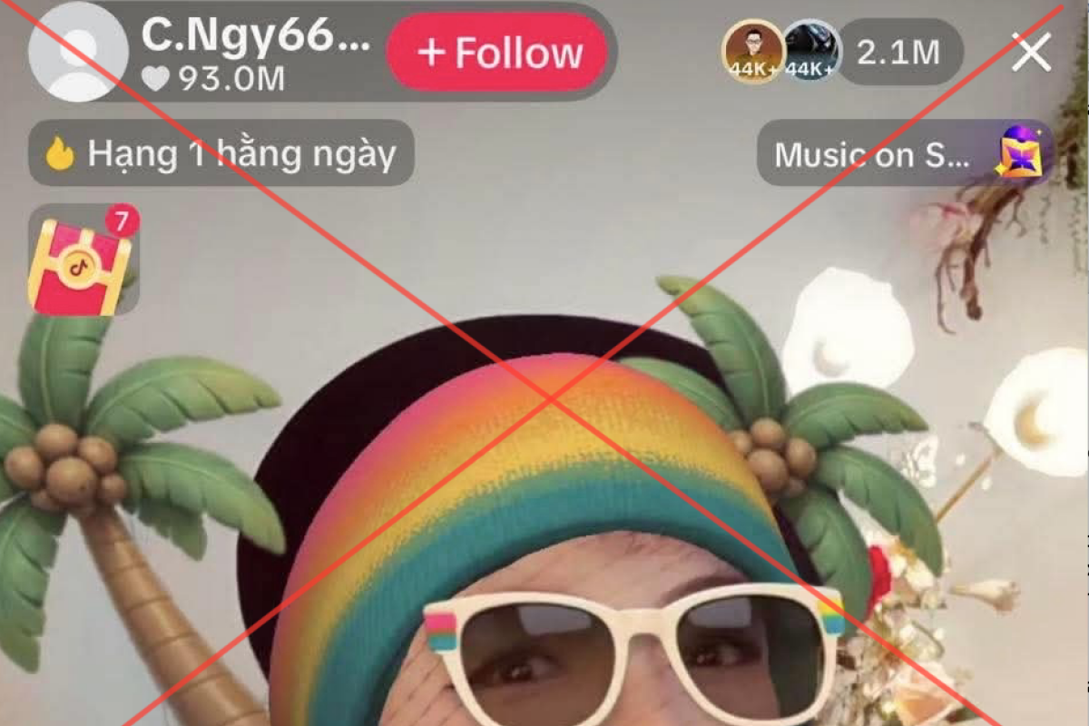 Vì sao TikTok khoá phiên livestream của bà Nguyễn Phương Hằng?插图1 Báo động: Hàng triệu người lên mạng chỉ để xem chửi bới, sỉ nhục người khác