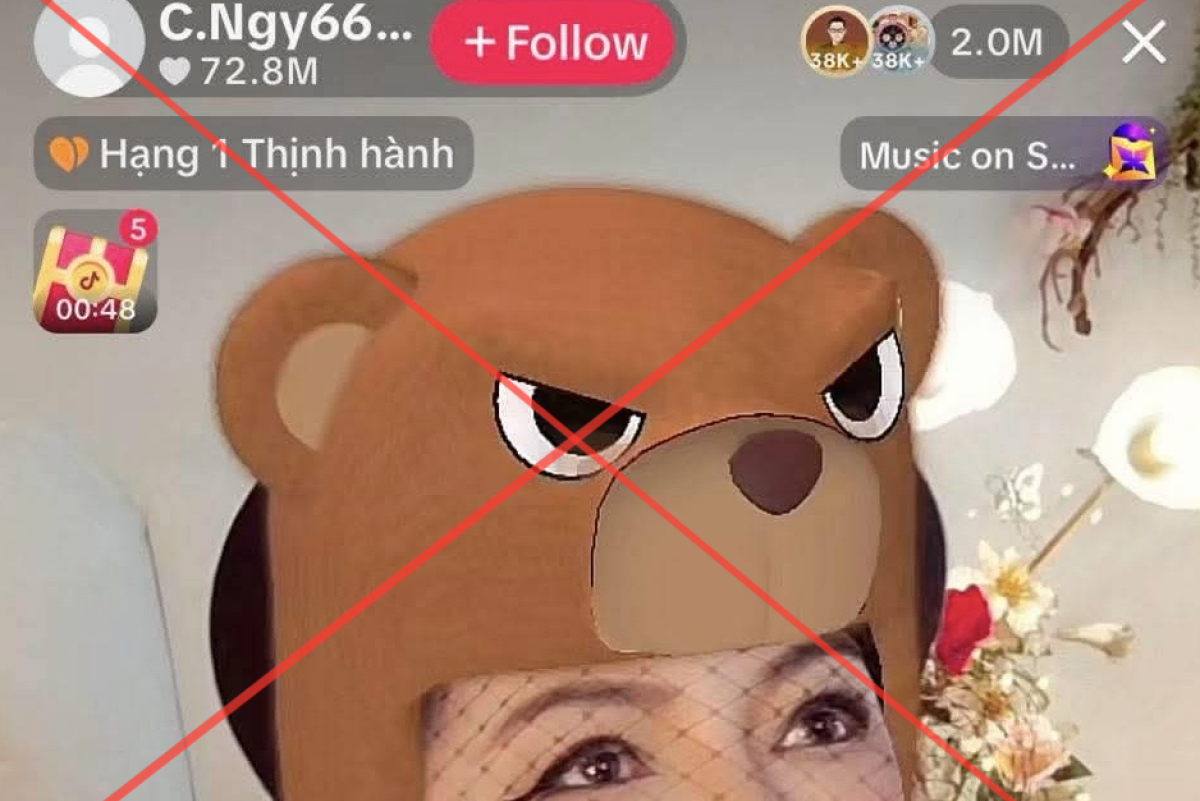 Vì sao TikTok khoá phiên livestream của bà Nguyễn Phương Hằng?插图 NguyenPhuongHanglivestream