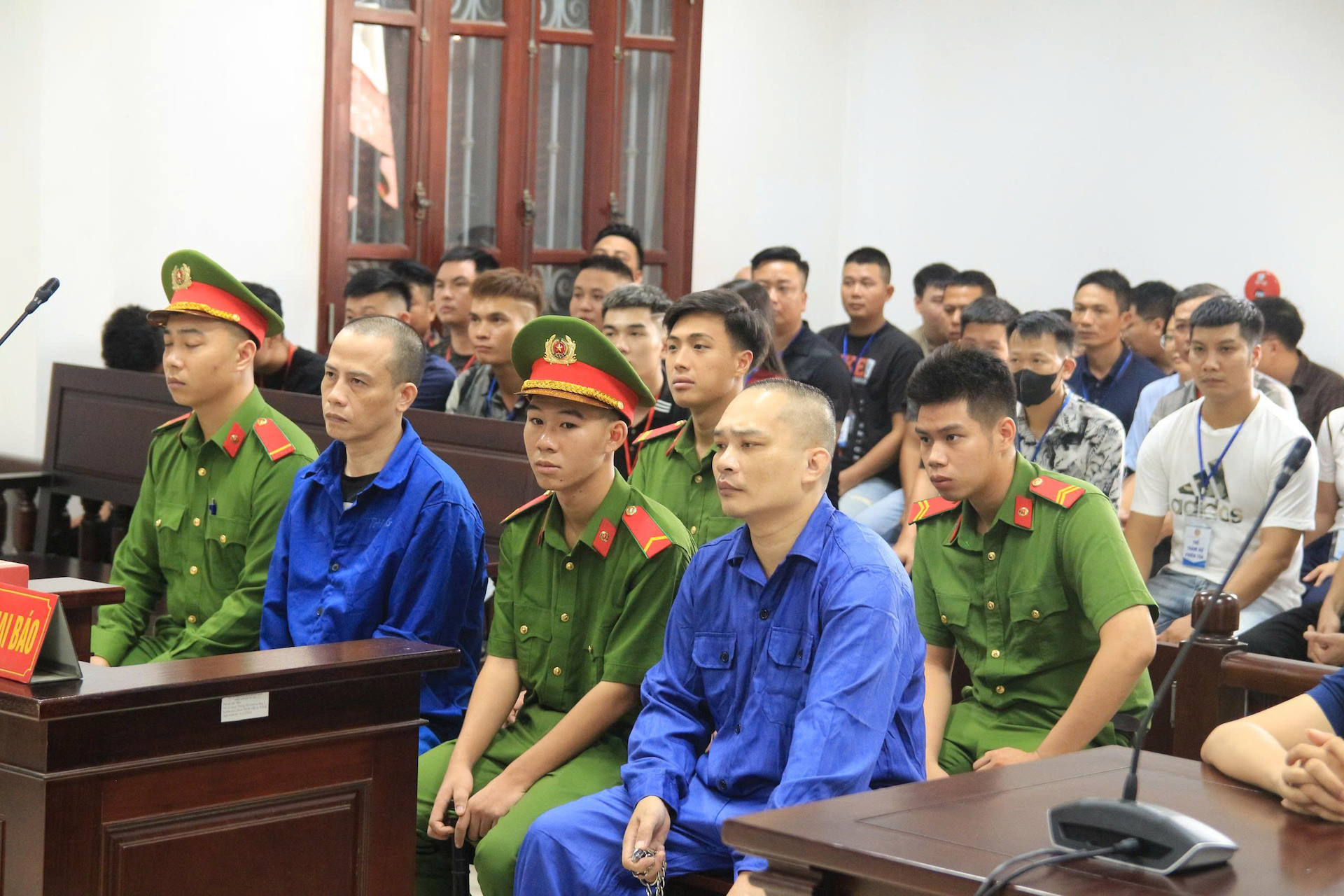 Tiến bịp 1.jpeg