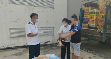Chặn 2 xe tải chở gần 4 tấn gà không có giấy kiểm dịch trên đường vào TPHCM
