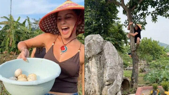 Dân mạng bảo khách Tây sang Việt Nam giờ thích du lịch “tự túc”, tự hài chuẩn bị nguyên liệu rồi vào bếp nấu ăn.