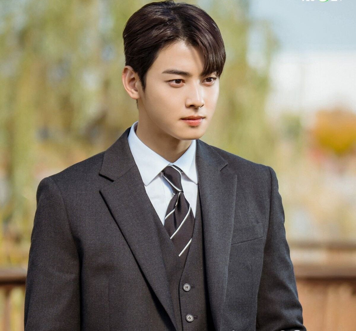 cha eun woo 2 01