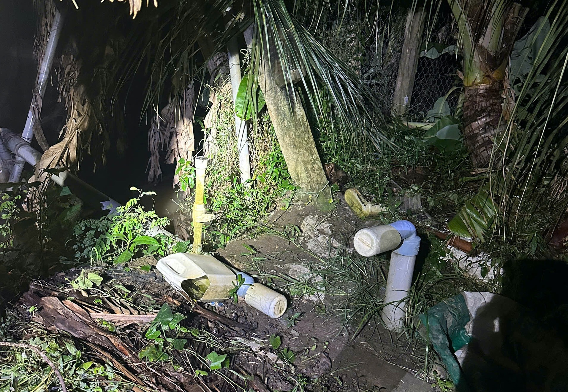 Đồng Tháp.jpg